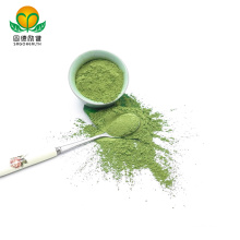 Brc Certificate Factory Direct Supply Spinach Powder